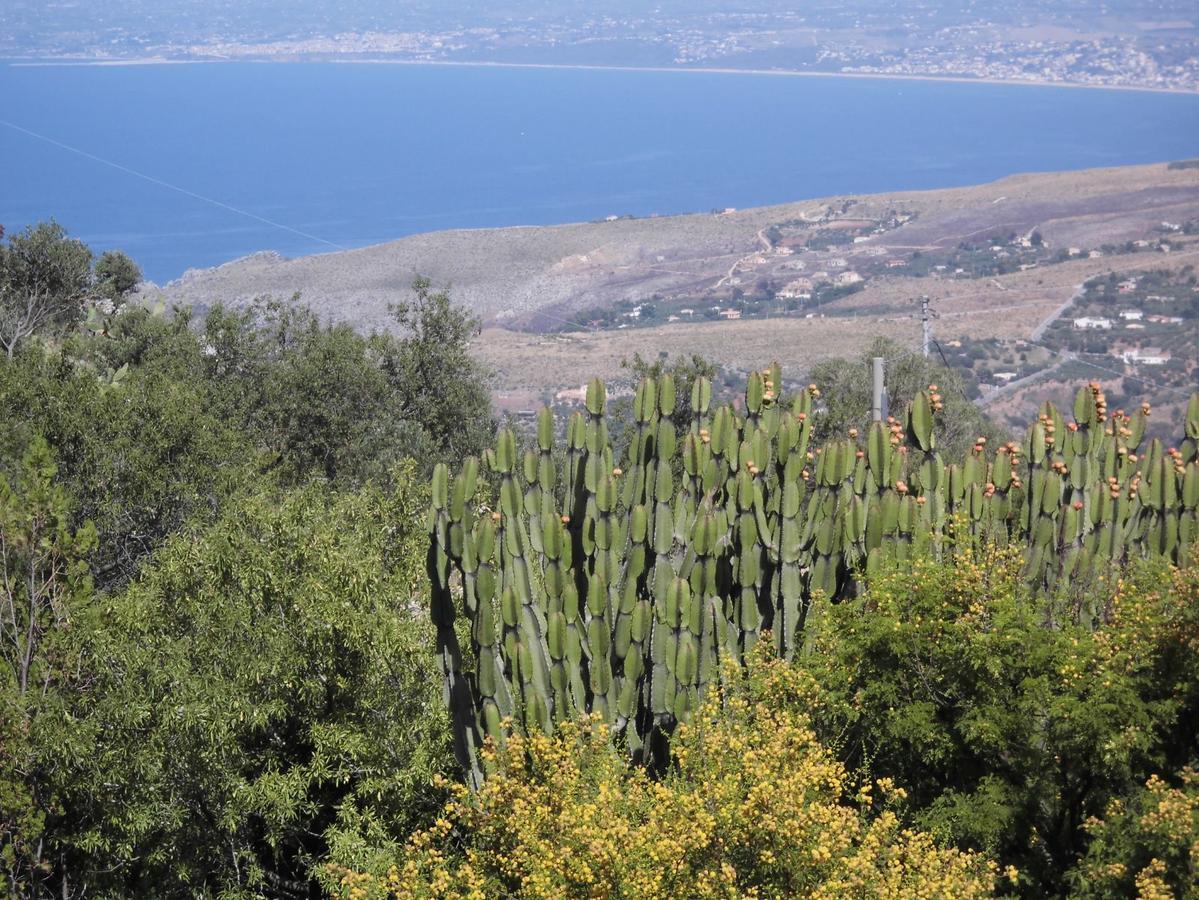 Villa bellavista Castellammare del Golfo Esterno foto